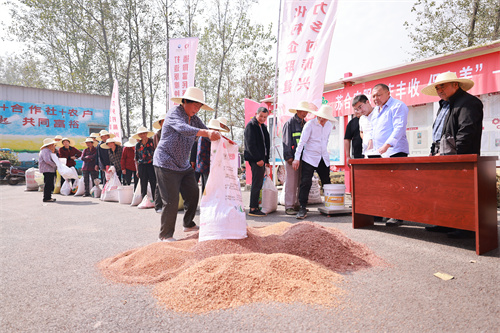 HJC黄金城·(中国区)集团官方网站